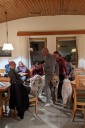 Kuvaszfamilientreff_2024_004_1.jpg