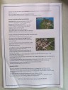 Kuvaszfamilientreff_2024_004_3.jpg