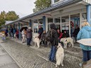 Kuvaszfamilientreff_2024_004_6.jpg