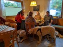Kuvaszfamilientreff_2024_006.jpg