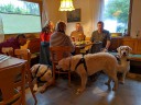 Kuvaszfamilientreff_2024_007.jpg
