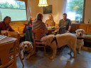 Kuvaszfamilientreff_2024_008.jpg