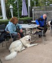 Kuvaszfamilientreff_2024_010.jpg