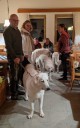 Kuvaszfamilientreff_2024_113.jpg
