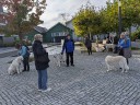 Dateiname=Kuvaszfamilientreff_2024_119.jpg
Dateigröße=175KB
Abmessungen: 640x480
hinzugefügt am: 23. November 2024 Kuvaszfamilientreff_2024_119.jpg