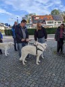 Dateiname=Kuvaszfamilientreff_2024_125.jpg
Dateigröße=153KB
Abmessungen: 480x640
hinzugefügt am: 23. November 2024 Kuvaszfamilientreff_2024_125.jpg