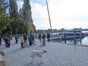 Dateiname=Kuvaszfamilientreff_2024_129.jpg
Dateigröße=145KB
Abmessungen: 640x480
hinzugefügt am: 23. November 2024 Kuvaszfamilientreff_2024_129.jpg