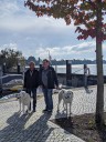 Dateiname=Kuvaszfamilientreff_2024_131.jpg
Dateigröße=150KB
Abmessungen: 480x640
hinzugefügt am: 23. November 2024 Kuvaszfamilientreff_2024_131.jpg