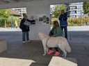 Dateiname=Kuvaszfamilientreff_2024_138.jpg
Dateigröße=115KB
Abmessungen: 640x480
hinzugefügt am: 23. November 2024 Kuvaszfamilientreff_2024_138.jpg