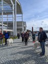 Kuvaszfamilientreff_2024_148.jpg