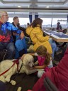 Dateiname=Kuvaszfamilientreff_2024_181.jpg
Dateigröße=116KB
Abmessungen: 480x640
hinzugefügt am: 23. November 2024 Kuvaszfamilientreff_2024_181.jpg