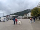 Kuvaszfamilientreff_2024_213.jpg