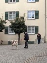 Dateiname=Kuvaszfamilientreff_2024_348.jpg
Dateigröße=129KB
Abmessungen: 480x640
hinzugefügt am: 23. November 2024 Kuvaszfamilientreff_2024_348.jpg