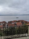 Kuvaszfamilientreff_2024_380.jpg