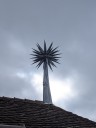 Kuvaszfamilientreff_2024_391.jpg