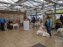 Kuvaszfamilientreff_2024_420.jpg