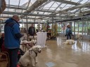 Kuvaszfamilientreff_2024_421.jpg