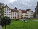 Kuvaszfamilientreff_2024_424.jpg