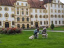 Kuvaszfamilientreff_2024_426.jpg