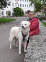 Kuvaszfamilientreff_2024_461.jpg