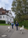 Kuvaszfamilientreff_2024_464.jpg