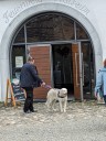 Kuvaszfamilientreff_2024_465.jpg