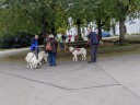 Kuvaszfamilientreff_2024_468.jpg