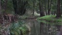 Spreewald_Kahnfahrt_041025_40.JPG