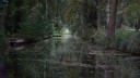 Spreewald_Kahnfahrt_041025_49.JPG
