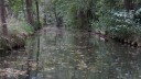 Spreewald_Kahnfahrt_041025_53.JPG