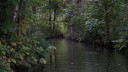Spreewald_Kahnfahrt_041025_69.JPG