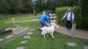 Spreewald_Minigolf_051025_36.JPG