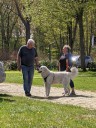 Kuvasz_Familientreffen_Boltenhagen_2025_004.jpg