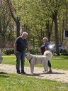 Kuvasz_Familientreffen_Boltenhagen_2025_006.jpg