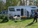 Kuvasz_Familientreffen_Boltenhagen_2025_011.jpg