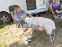 Kuvasz_Familientreffen_Boltenhagen_2025_047.jpg