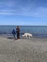 Kuvasz_Familientreffen_Boltenhagen_2025_052.jpg
