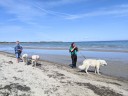 Kuvasz_Familientreffen_Boltenhagen_2025_060.jpg