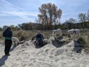 Kuvasz_Familientreffen_Boltenhagen_2025_074.jpg