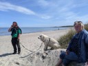 Kuvasz_Familientreffen_Boltenhagen_2025_077.jpg