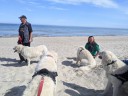 Kuvasz_Familientreffen_Boltenhagen_2025_081.jpg