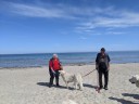 Kuvasz_Familientreffen_Boltenhagen_2025_086.jpg