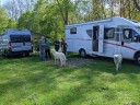 Kuvasz_Familientreffen_Boltenhagen_2025_098.jpg