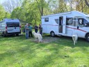 Kuvasz_Familientreffen_Boltenhagen_2025_099.jpg