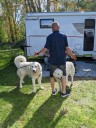 Kuvasz_Familientreffen_Boltenhagen_2025_108.jpg
