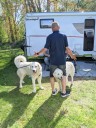 Kuvasz_Familientreffen_Boltenhagen_2025_109.jpg