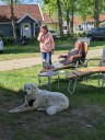 Kuvasz_Familientreffen_Boltenhagen_2025_111.jpg