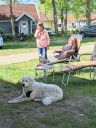 Kuvasz_Familientreffen_Boltenhagen_2025_112.jpg