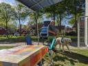 Kuvasz_Familientreffen_Boltenhagen_2025_116.jpg