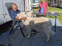 Kuvasz_Familientreffen_Boltenhagen_2025_140.jpg